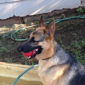 Meet your Posher, Barry